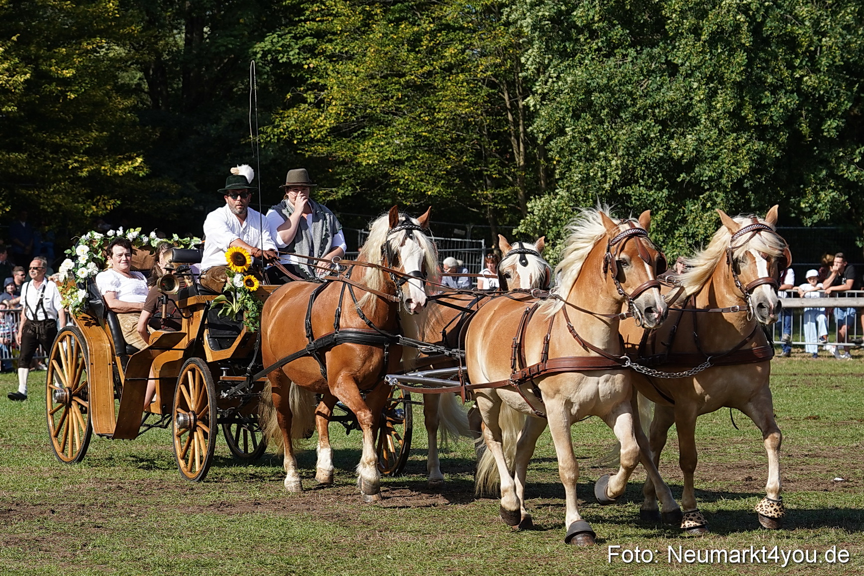 Pferde und Fohlenschau 2022 0128 